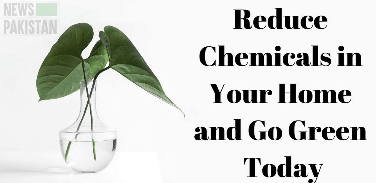 Read more about the article UN adopts new global rules to reduce chemicals harm