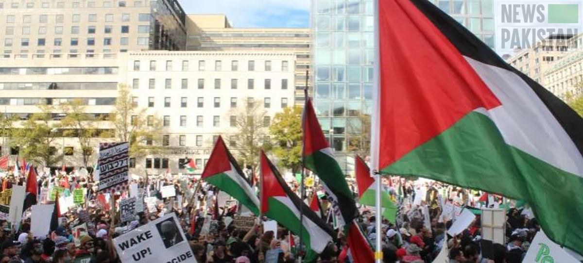 Read more about the article Pro-Palestinian Protests Staged in Washington