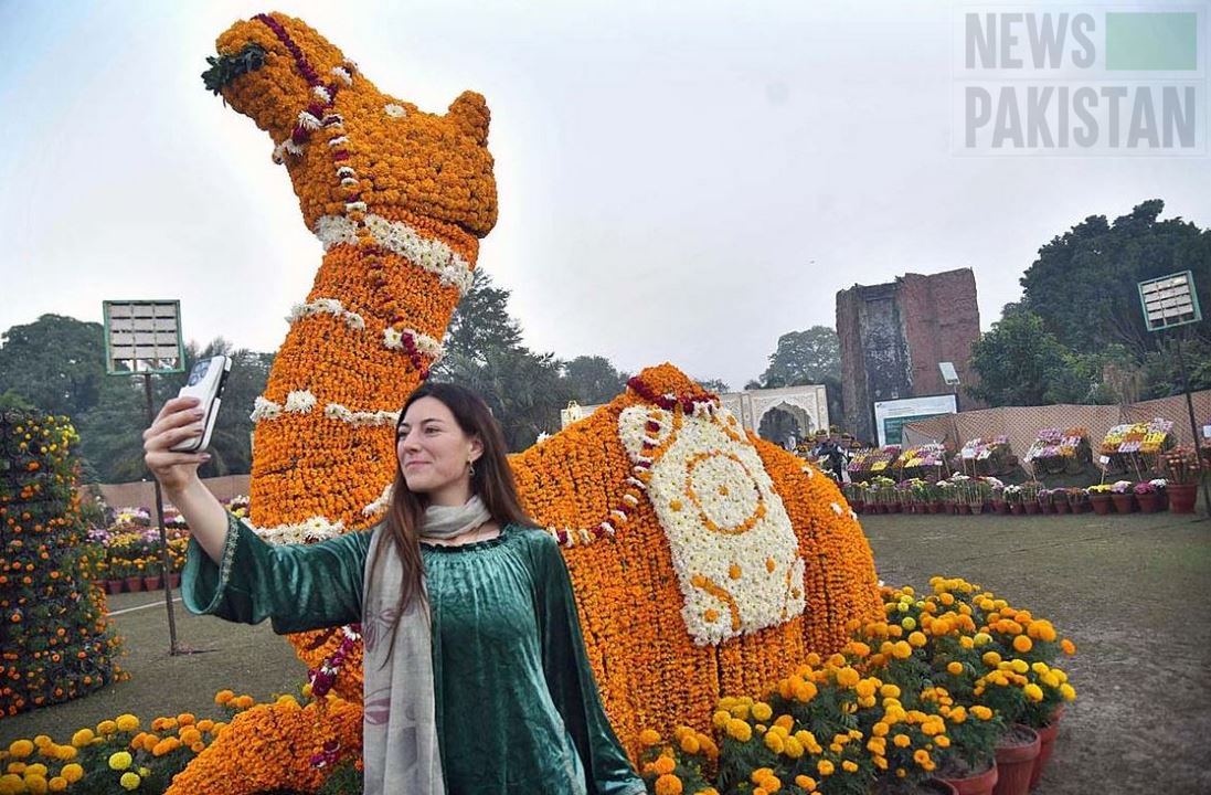 Chrysanthemum show in Lahore