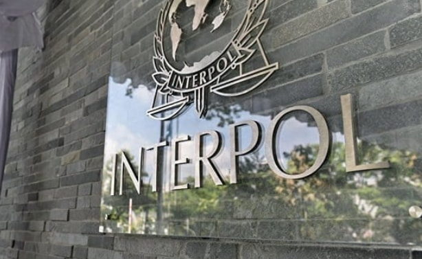 Read more about the article Interpol Pakistan apprehends wanted criminals