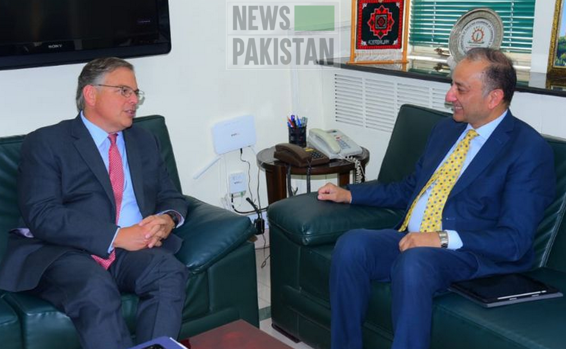 Read more about the article US Envoy Blome Meets Pak Petroleum Minister Musadik