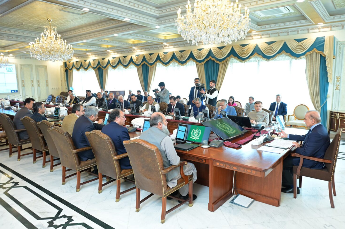 Cabinet briefed on progress of PIA privatization