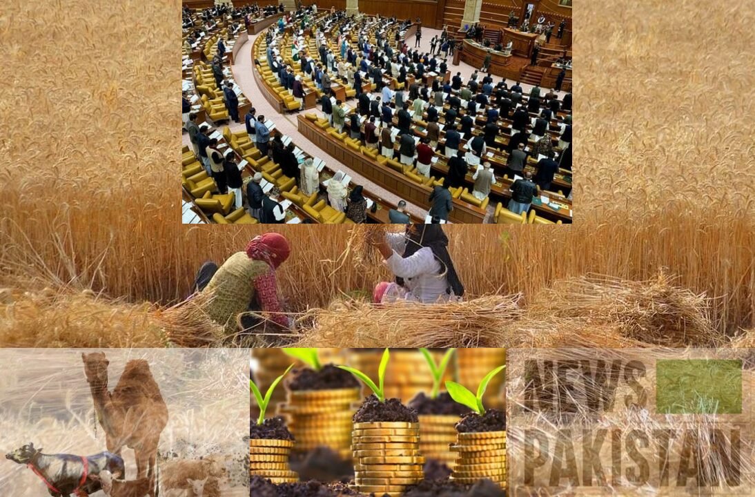 PPP Opposes Punjab Agriculture Income Tax Bill