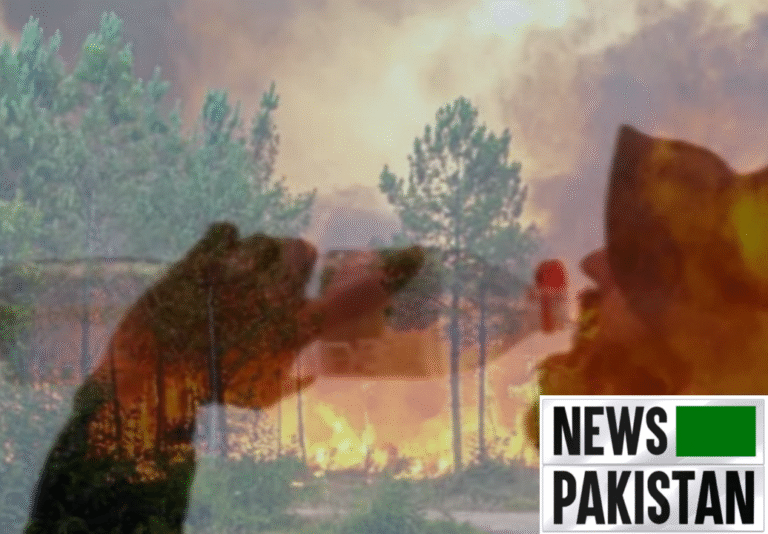 Europe: Heatwave claimed 2300 lives in 10 days