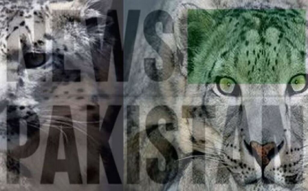 Snow Leopards are also found in Pakistan's mountains
