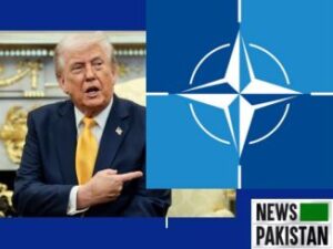 Iran-USA War Trump Calls NATO a paper tiger sans America